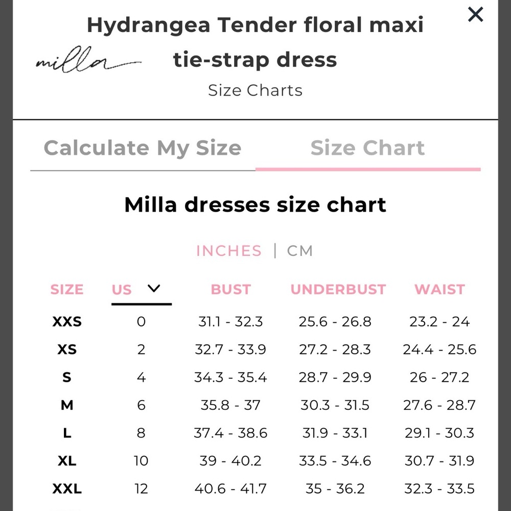 Milla Hydrangea Organza Maxi Dress - XS (Like New) - Picture 15 of 15